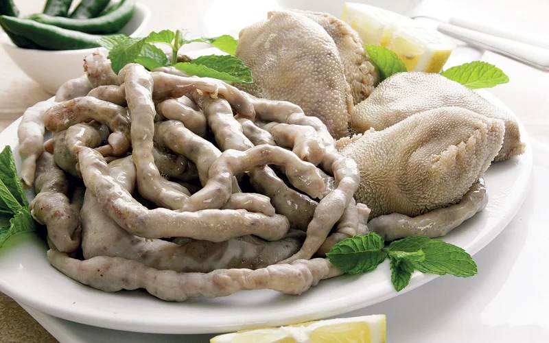 كروش و فوارغ